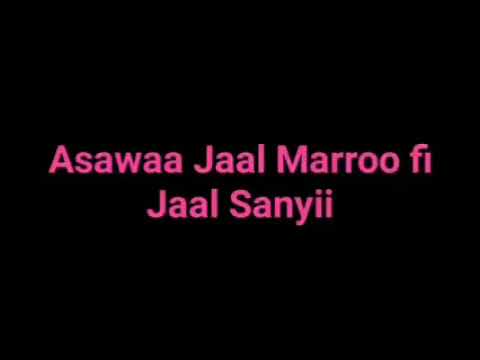 Dhaamsa Jaal Marroo Jajjabeen Namoota Faallaa Qabsoo Keessan Addaa Baafachuu Qabdu