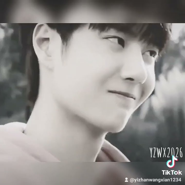 Twin part2🦁🐰💔😭#wangyibo #xiaozhan #yizhan #yibo #guwei #chenyu #guyiye #bjyx #bjyxszd #yibo #zhan