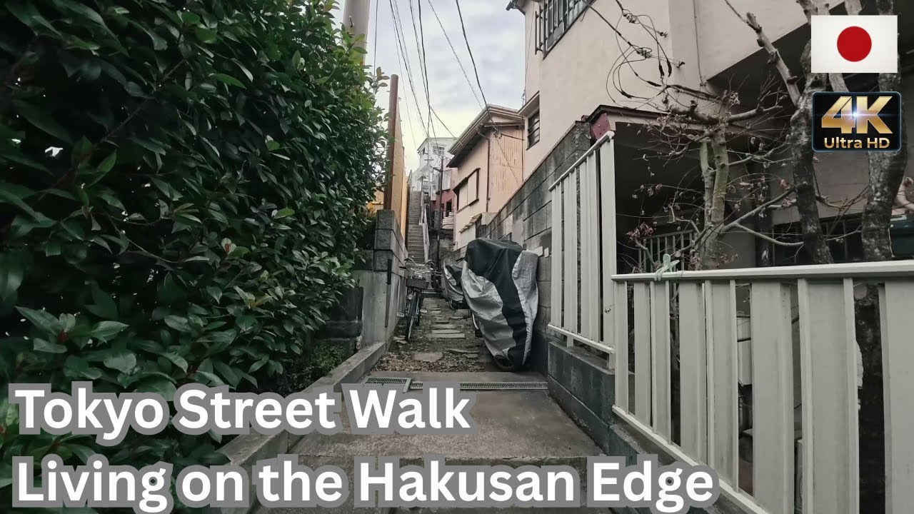 Living on the Edge! Stunning Hakusan Houses Scenery｜4K Virtual Walking Tour