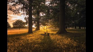 Honor, Humility, & Blessings  |  Worship Service  |  8-28-2022