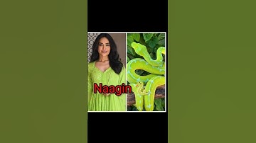 all hot 🥵🔥 Naagins 🐍 Vs Snake 🐍❤️😘 who is your favourite Naagin?#viral #shorts