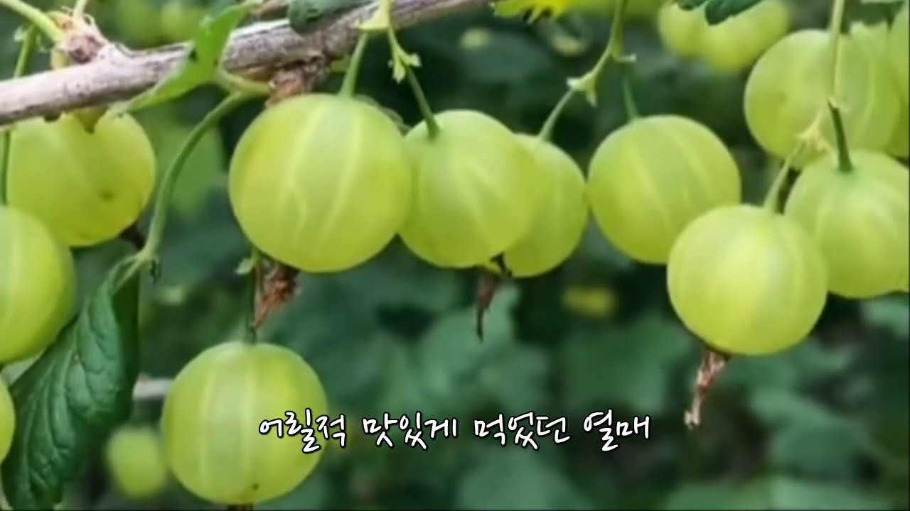 웹 스토어 크롬 Update New 유튜브 화면 캡쳐/ 크롬-웹스토어-스크린샷 유튜브-크롬에 추가-확장프로그램추가-유튜브 화면 오른쪽 아래 스크린샷이라고 뜸