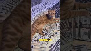 Punya Kucing Hoki atau Sial ? ini penjelasanya #youtubeshorts #cat #kucinglucu #viral #shortvideo