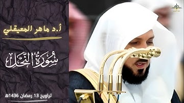 " الذين صبروا وعلى ربهم يتوكلون"|إفتتاحية خاشعة من سورة النحل للشيخ المعيقلي تراويح 13 رمضان 1436ه‍