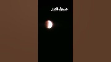 #قرآن #تلاوة_خاشعة #معاذ_صيام #سورة_القيامه #لايك #اكسبلور