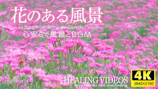[Healing] Scenery with flowers VOL.2 (6 hours) / Relax and recover your tired mind and body.