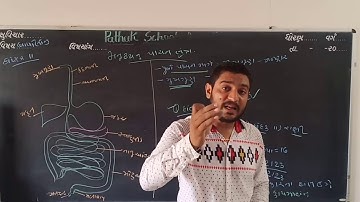 11Science | Biology | Basic Concept | Lecture 2 | Pathak School Amreli