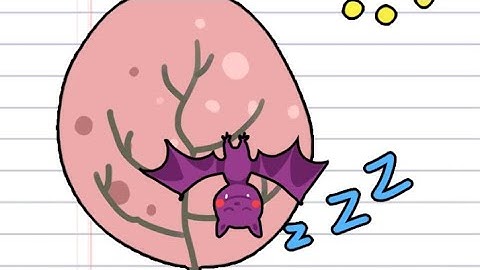 Stump Me Level 16 17 18 19 20 walkthrough