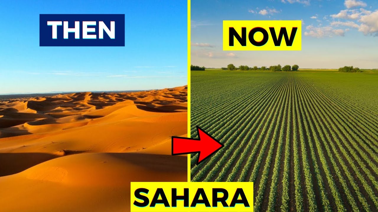How The Sahara Desert Is Turning Into A Farmland. YouTube