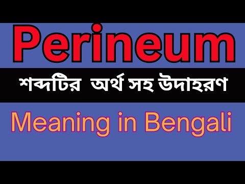 Perineum Meaning In
