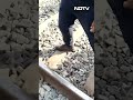 Vande Bharat Train Driver Spots Stones, Rod On Tracks In Rajasthan, Hits Emergency Brakes Mp3 Song