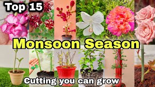 Top 15 Plant Cuttings you can grow at Home/Garden (Monsoon Season Special)