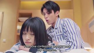 Meteor Garden