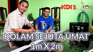 KOLAM KOI SEJUTA UMAT HANYA 1M x 2M - Bedah Sistem Filter, Pakan, Karantina