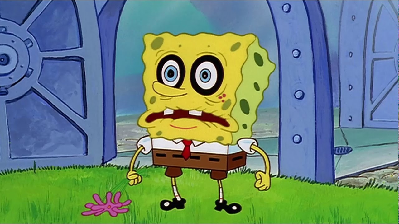 Высохший спанч боб картинки