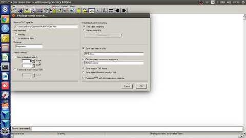 TNT script PhylogenomicSearch.run 1/2 (using the GUI) [with subtitles in spanish and english]