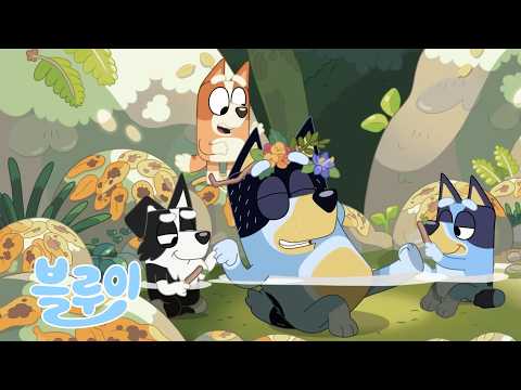 개울 🦋🌿 | 모음집 💙 | 블루이 - 한국 공식 채널 - Bluey