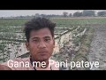 Finally pani  pata liye vivek valkdaily vlog