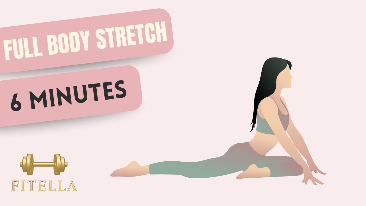 Stretch Your Whole Body | No Equipment