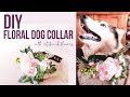 DIY: FLORAL DOG COLLAR | WITH ARTIFICIAL FLOWERS