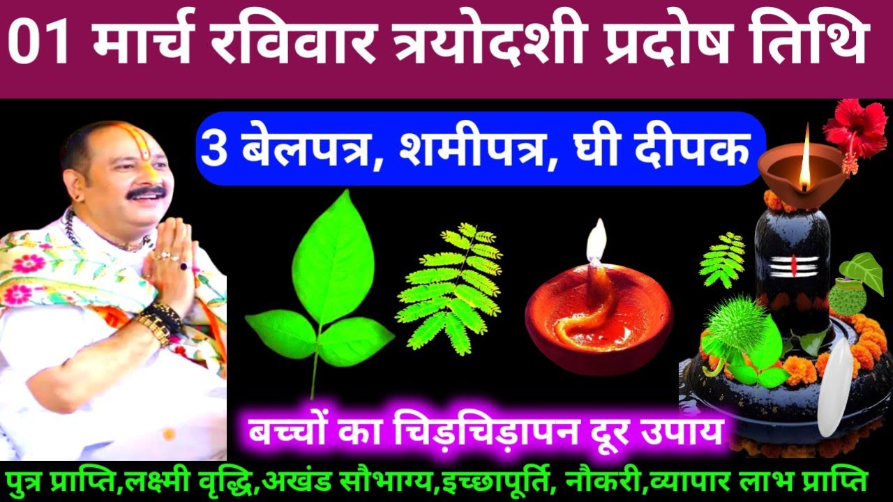 🕉 आज 01 मार्च फागुन रविवार प्रदोष तिथि 1 बेलपत्र, शमीपत्र, घी दीपक अचूक उपाय अवश्य करें 🙏❤#shiv,