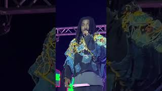 Tout ce qui vous a échappé au concert de Wally Seck à dioubel