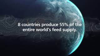 Alltechs 2019 Global Feed Survey Promo