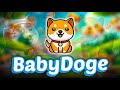 BABY DOGE: Latest News + Developments