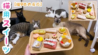 猫用スイーツをたくさん購入して、猫9匹とスイーツパーティーしてみた！！