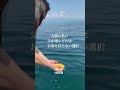 墓じまいをした　海に還した　海洋散骨