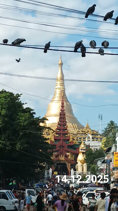 ရွှေတိဂုံစေတီတော်မြတ်ကြီး #shwedagonpagoda #pagoda #morningvibes #december2025