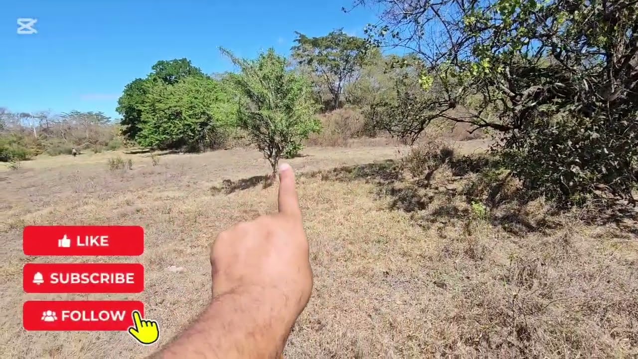 Se vende 6 manzanas en canton cihuatan el paisnal san salvador  