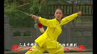 中华剑术套路示范视频 Chinese Sword Set Routine Demonstration Video