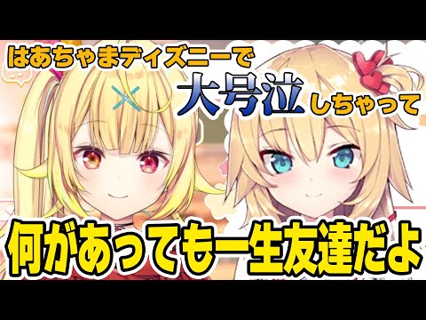 ディズニーデートで大号泣してしまったはあちゃまを慰め続け、一生友達宣言する星川【星川サラ/赤井はあと/にじさんじ切り抜き】