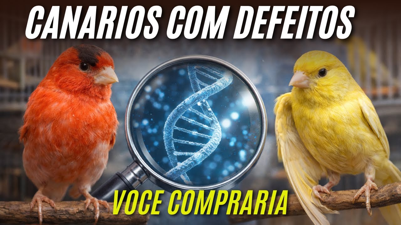 A Verdade que escondem de VOCÊ 