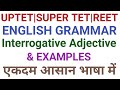 UPTET 2021|STET 2021|REET 2021| English Grammar|Interrogative Adjective & Examples|English|#shorts