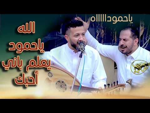 جديد حمود السمه لياسين قاطن عتبكر الصبح لاضحكة ولاكركرة جلسة مع مترجم الاغاني اليمنية 2024