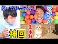 絶対に笑ってはいけない「まるお」と「マスオ」