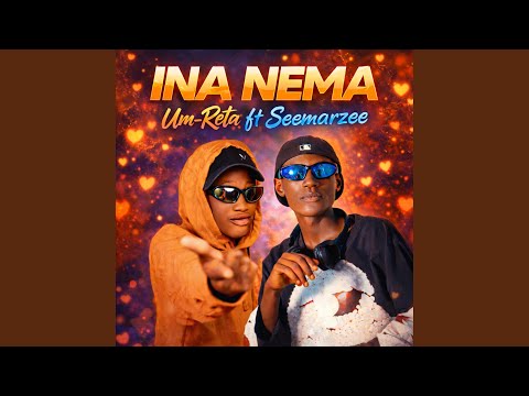 INA NEMA 