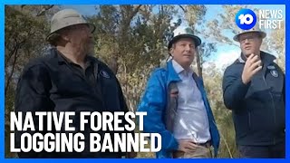 WA Native Forest Logging Banned | 10 News First