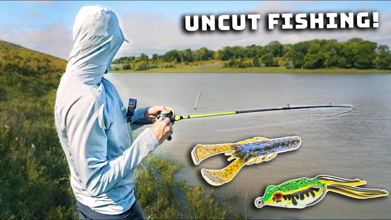 Texas Rig Vs. Frog For Summer Bass Fishing! (Uncut Pond Fishing Tips ...