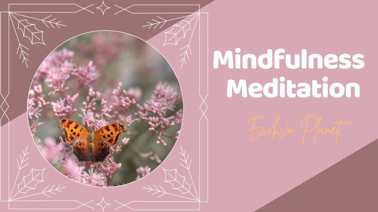 Unlocking the Power of Mindfulness Meditation for a More Restful Night ...