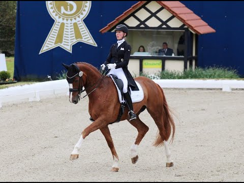 BOA VISTA FRH & Greta Heemsoth // Horses & Dreams 2024 @HorsesInMotion