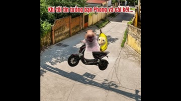 Khi đi xe mà đầu nghĩ thứ khác #meme #cat #pets