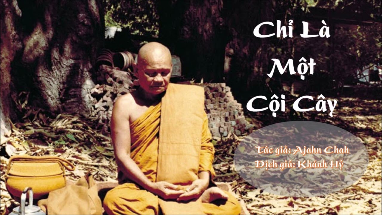 Chỉ Là Một Cội Cây - Thiền Sư Ajahn Chah - youtube