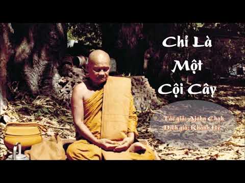 Video Chỉ Là Một Cội Cây - Thiền Sư Ajahn Chah - youtube