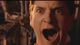 Peter Parker Shouting