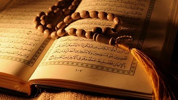 سورة الأحزاب من الآية 38 حتى 48  بصوت القارئ والمنشد محمد زياد عقيلي