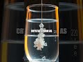 Bright Discoveries Five Fresh Home Science Experiments