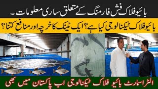 Fish Farming In Pakistan | Biofloc Fish Farming Complete Information #practical_biofloc_fish_farming